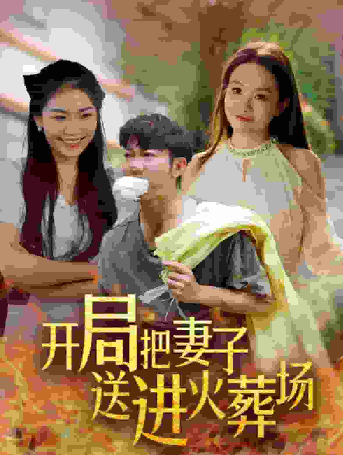 开局把妻子送进火葬场海报