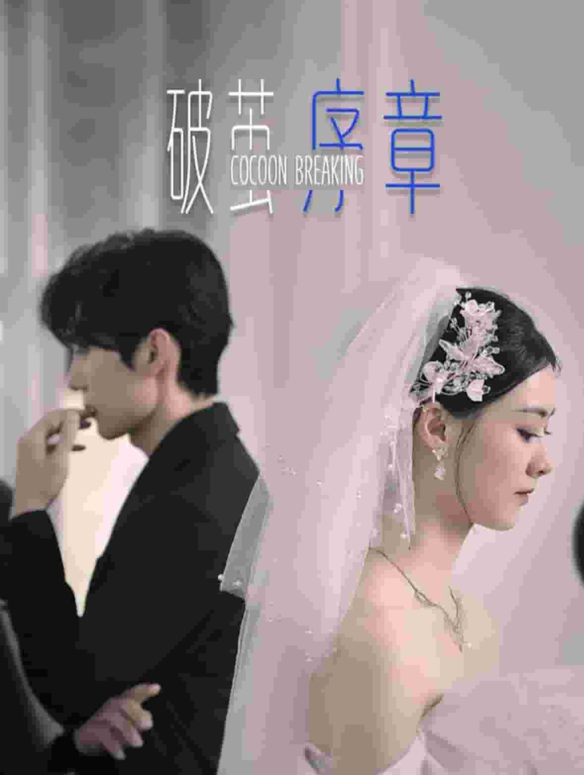 破茧序章海报