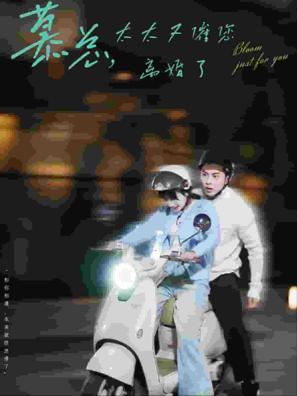 慕总太太又催您离婚了海报