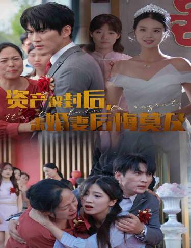 资产解封后，未婚妻后悔莫及海报