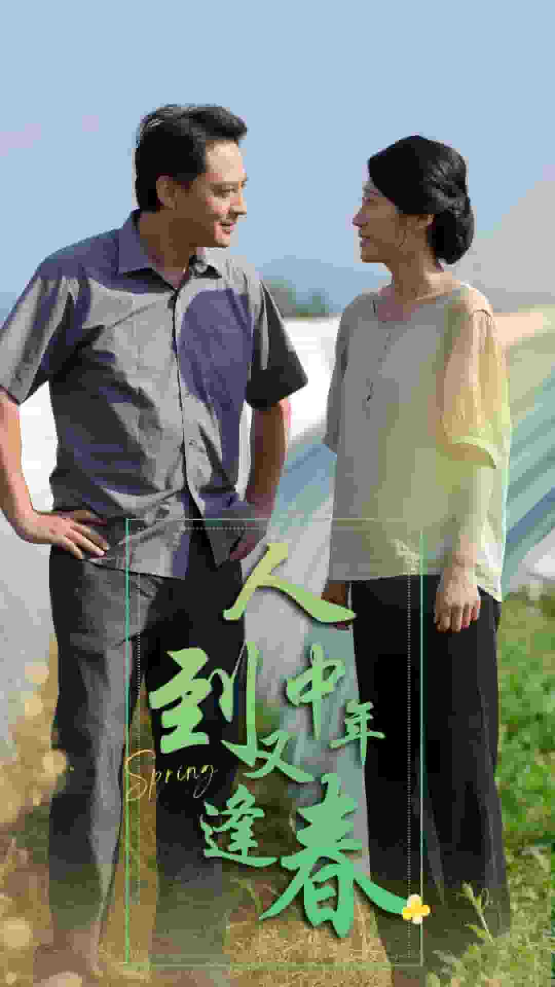 人到中年又逢春海报