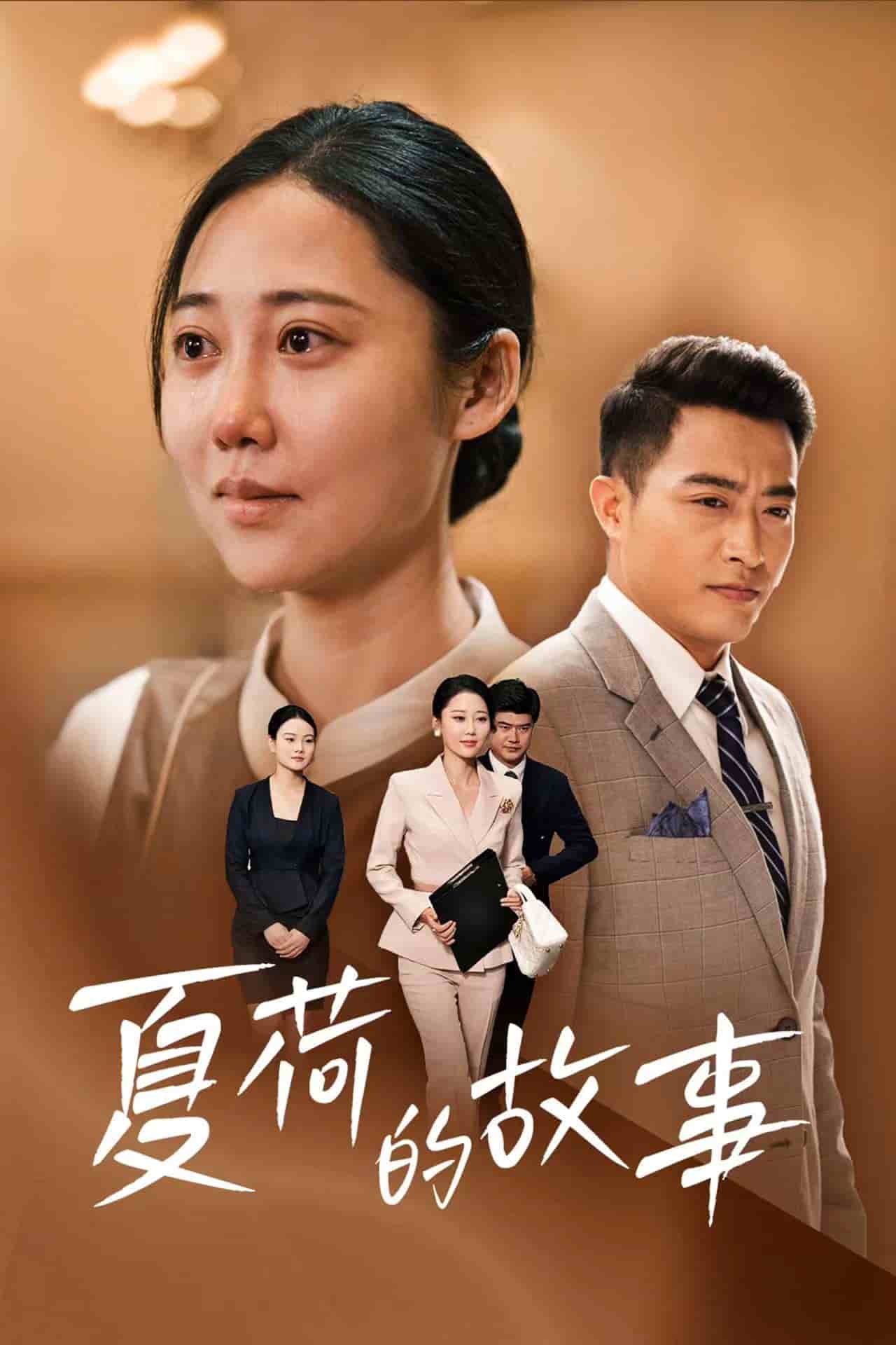 夏荷的故事海报