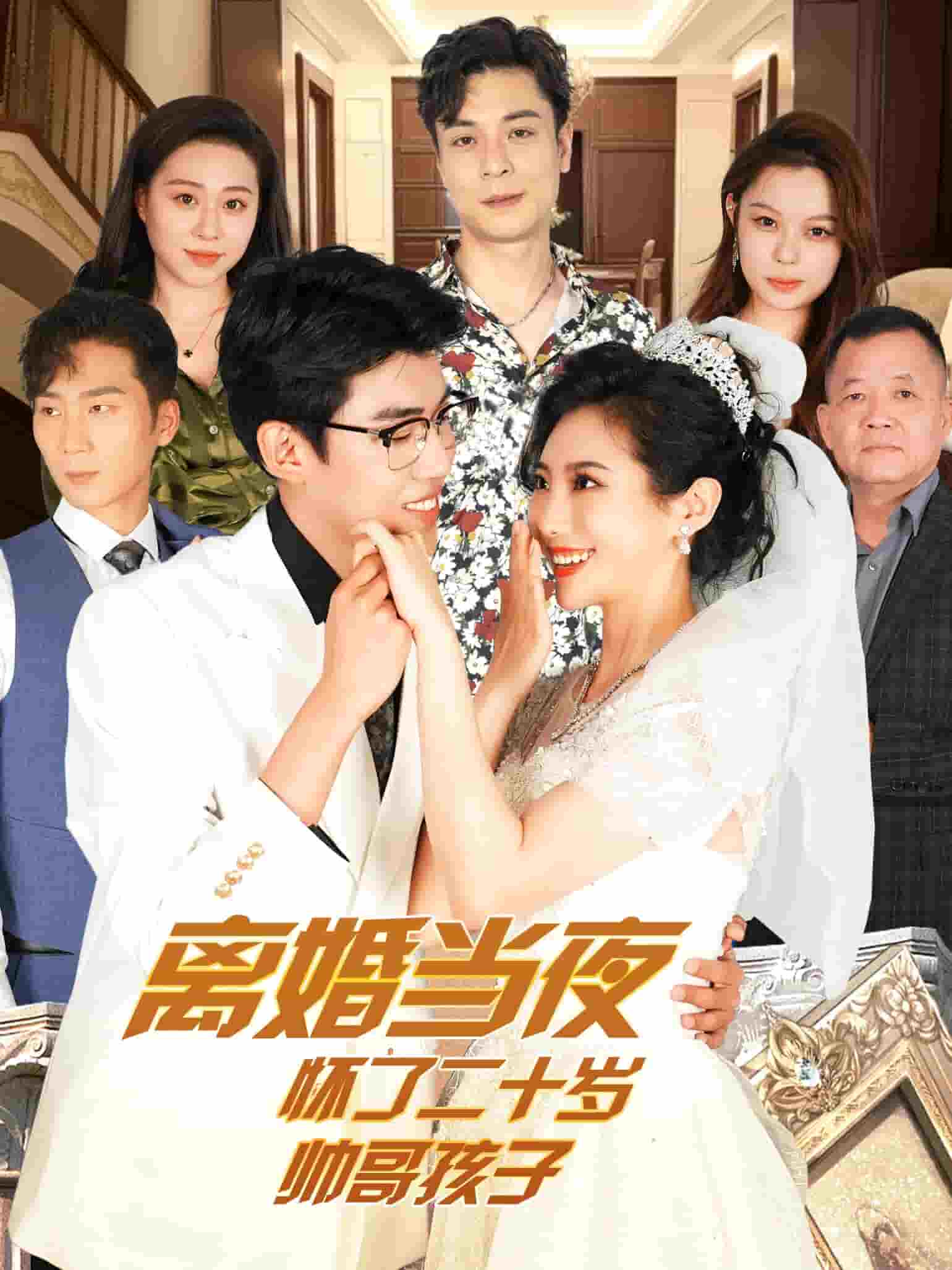 离婚当夜怀了二十岁帅哥海报