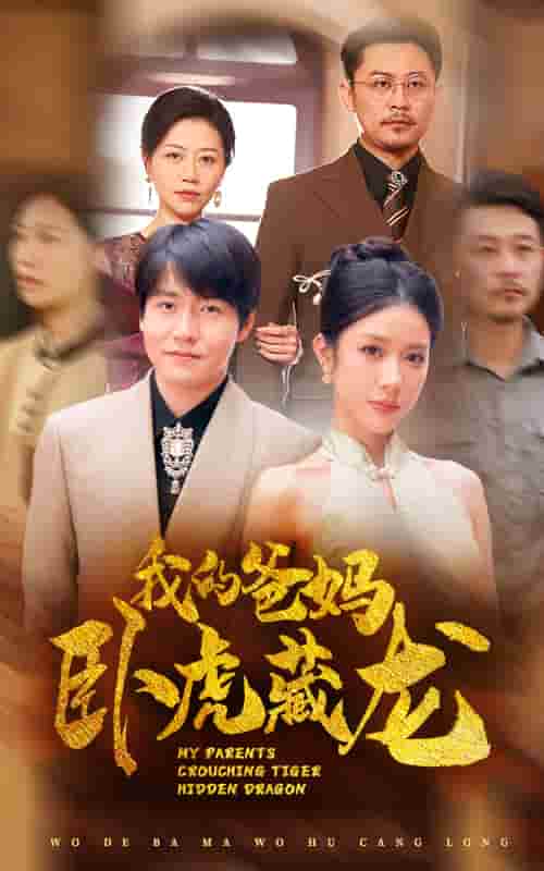 我的爸妈卧虎藏龙海报