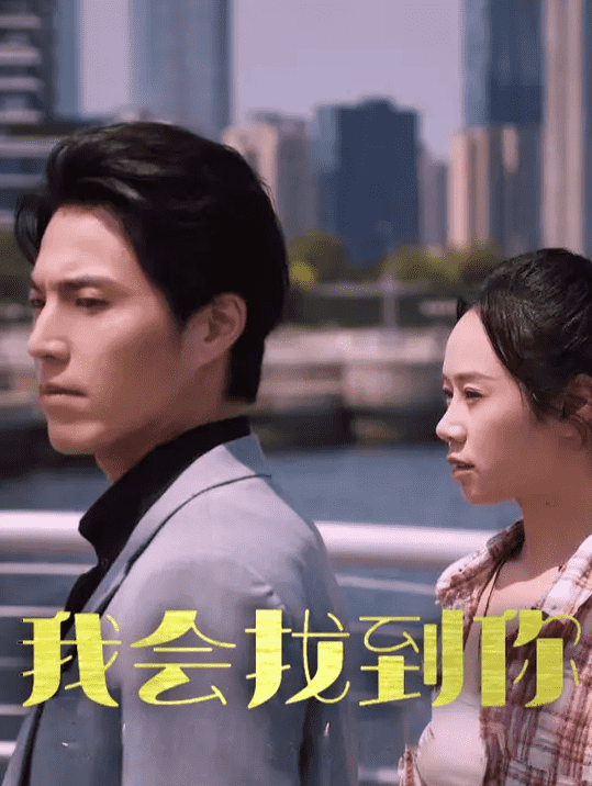 我会找到你海报
