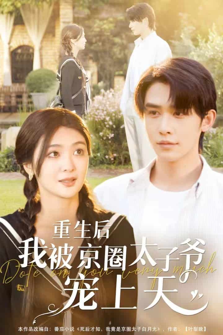 重生后我被京圈太子爷宠上天海报