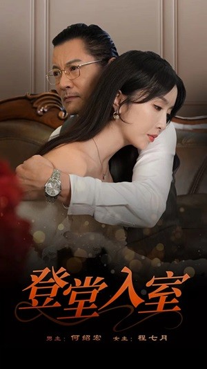 登堂入室 短剧版海报