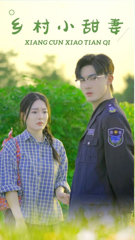 乡村小甜妻海报