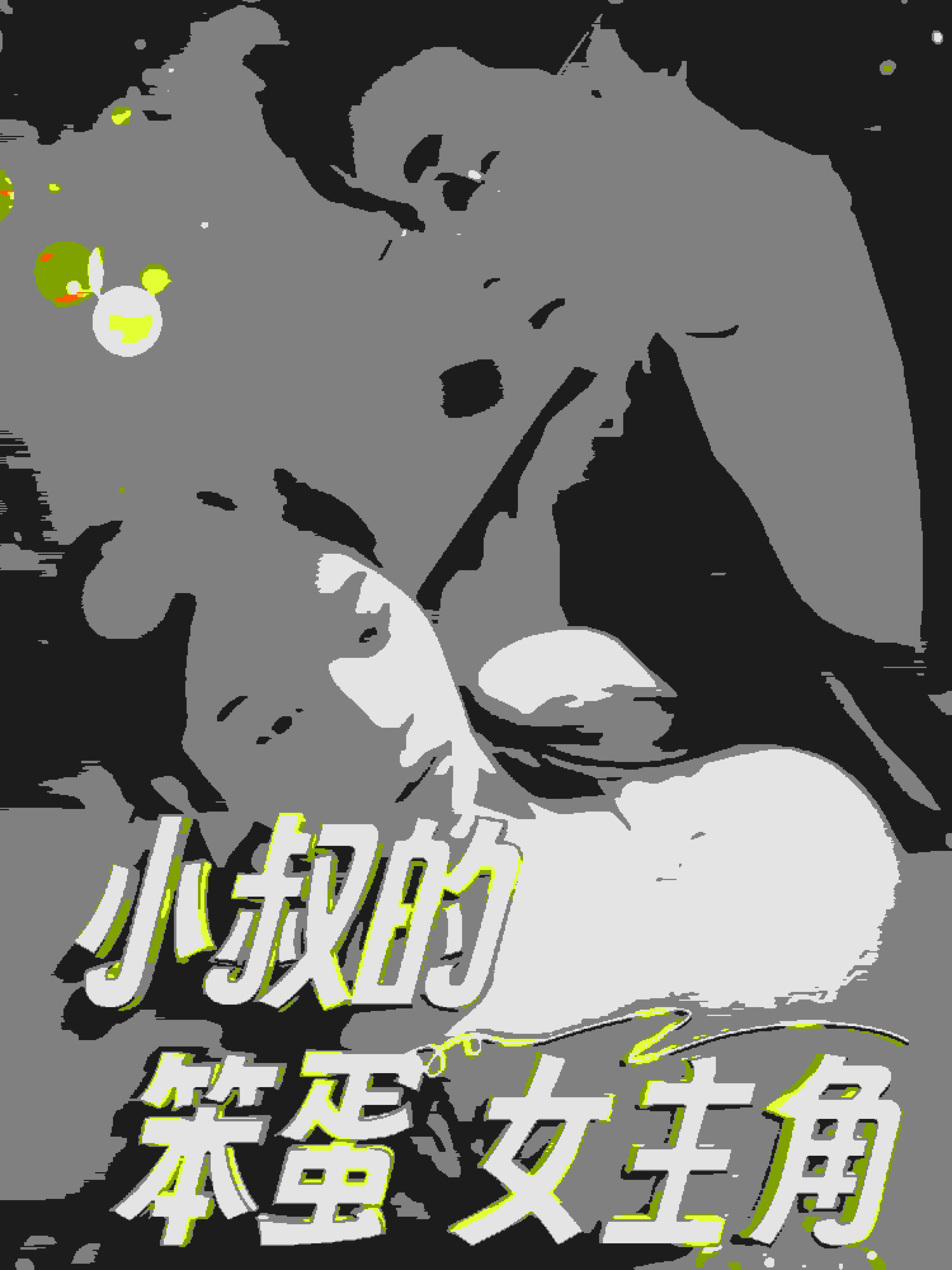 小叔的笨蛋女主角海报