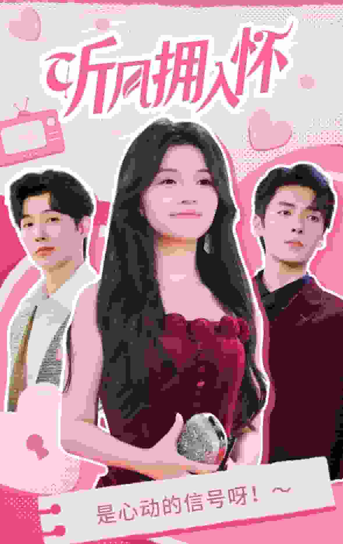 听风拥入怀海报