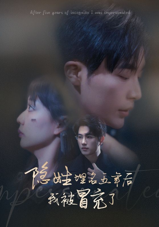 隐姓埋名五年后我被冒充了海报