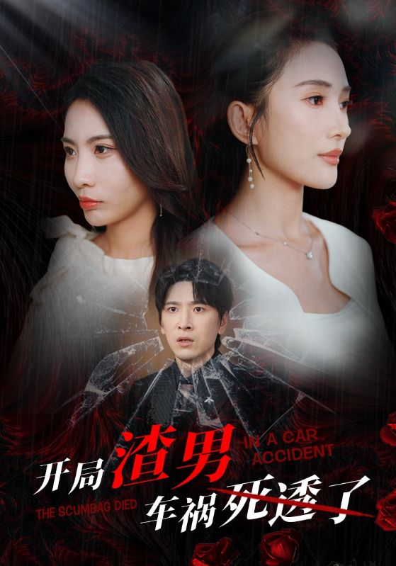 开局渣男车祸死透了海报