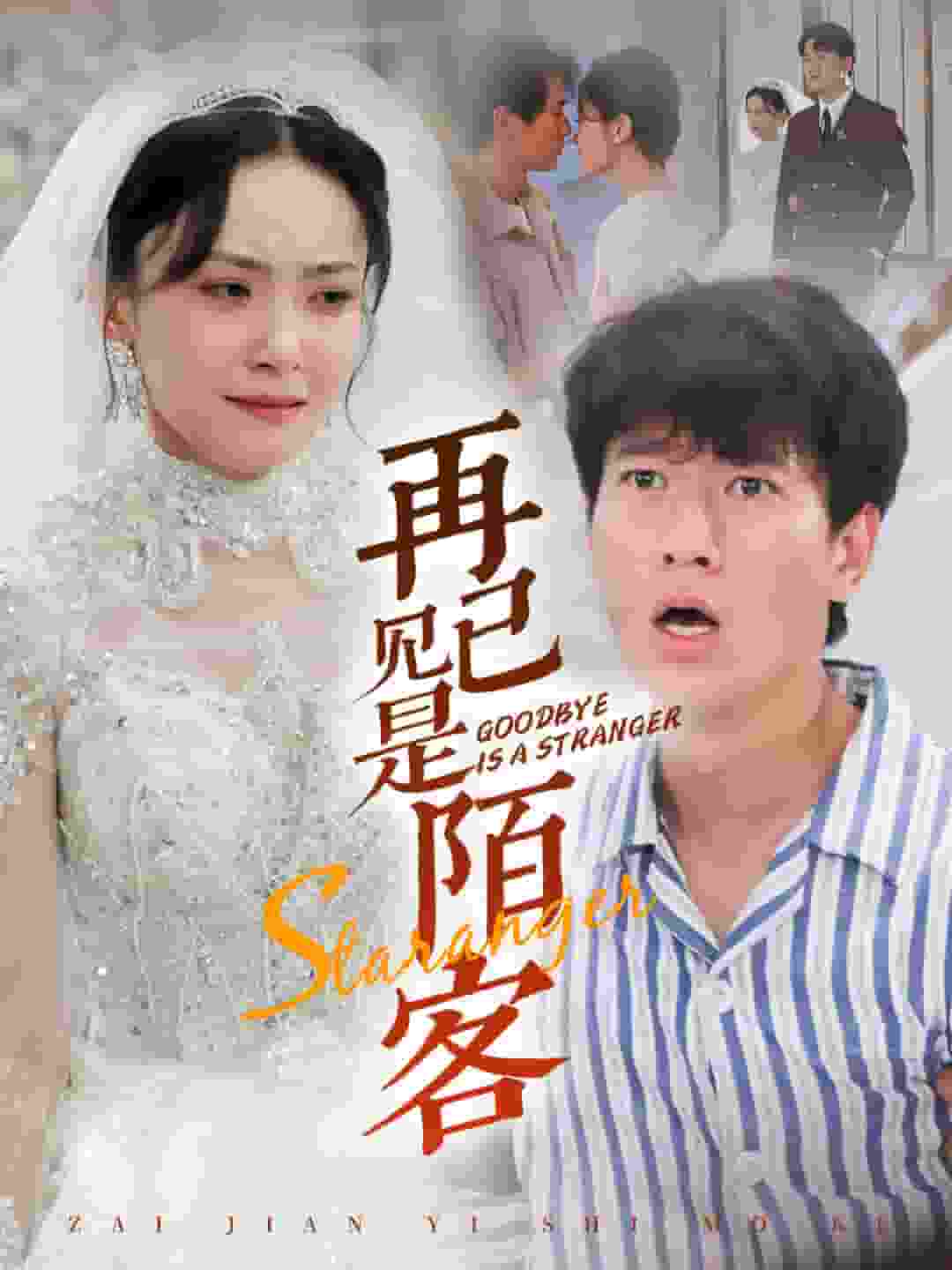 再见已是陌客海报