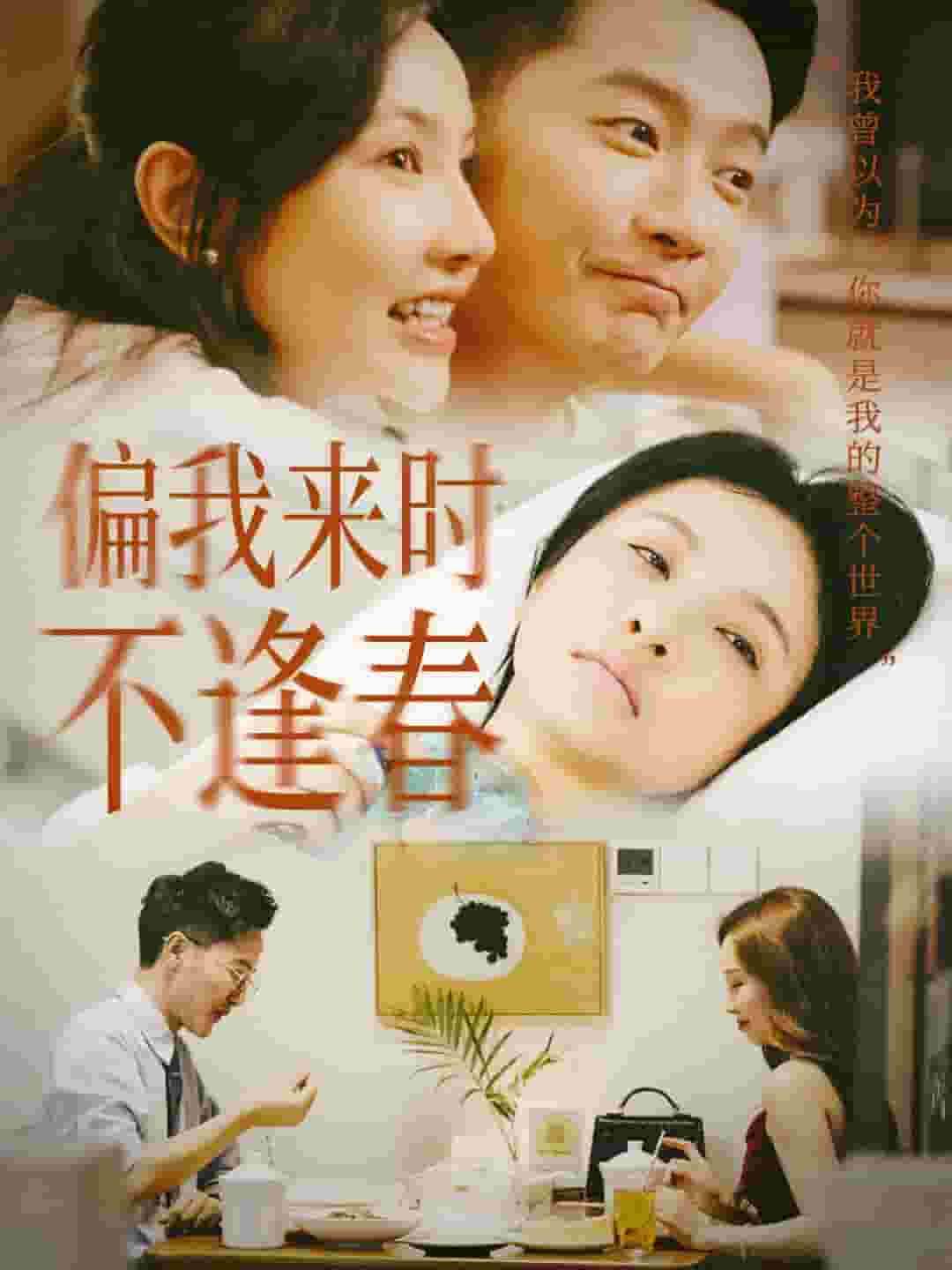 偏我来时不逢春海报