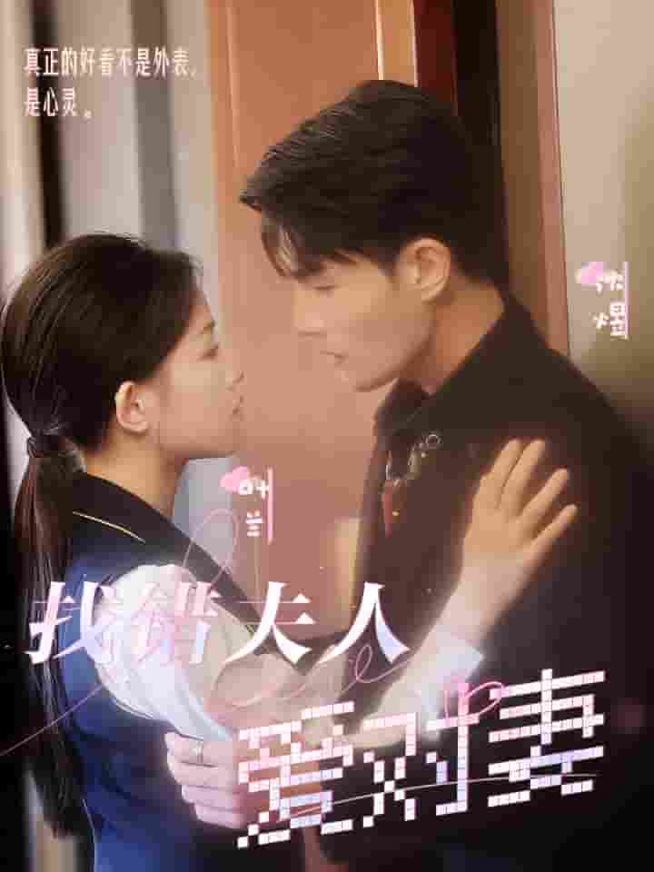 找错夫人爱对妻海报