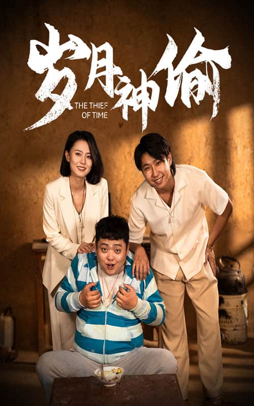 岁月神偷 短剧版海报