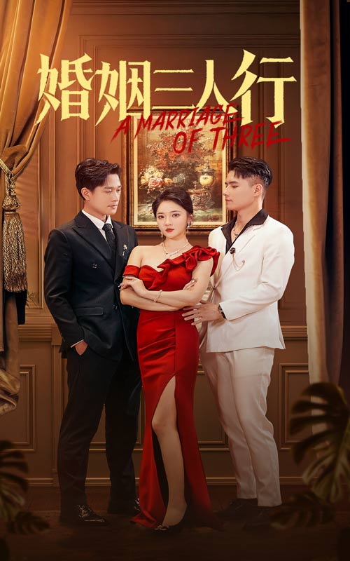 婚姻三人行海报