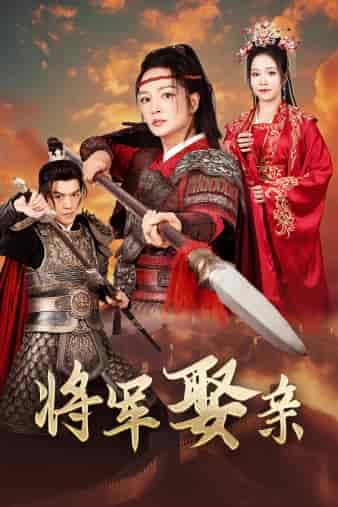 将军娶亲海报