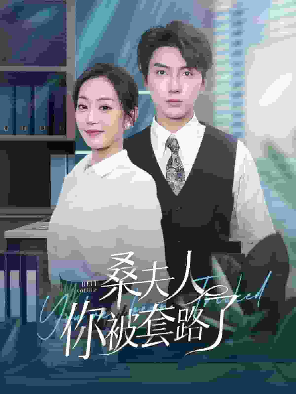 桑夫人你被套路了海报