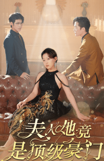 夫人她竟是顶级豪门海报