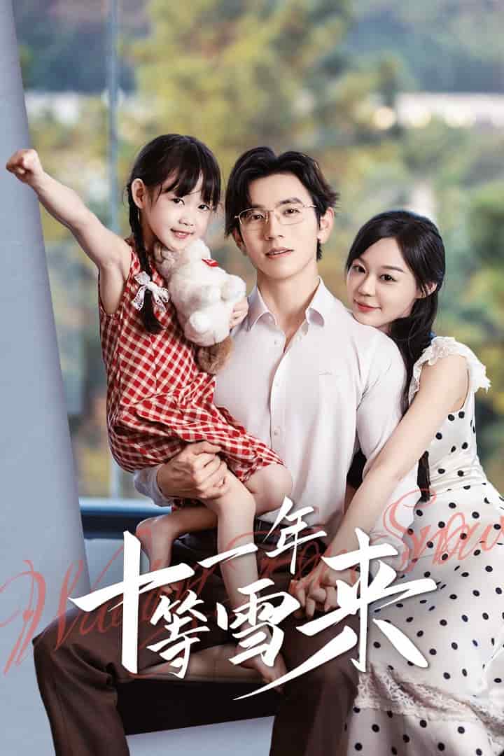 十一年等雪来海报