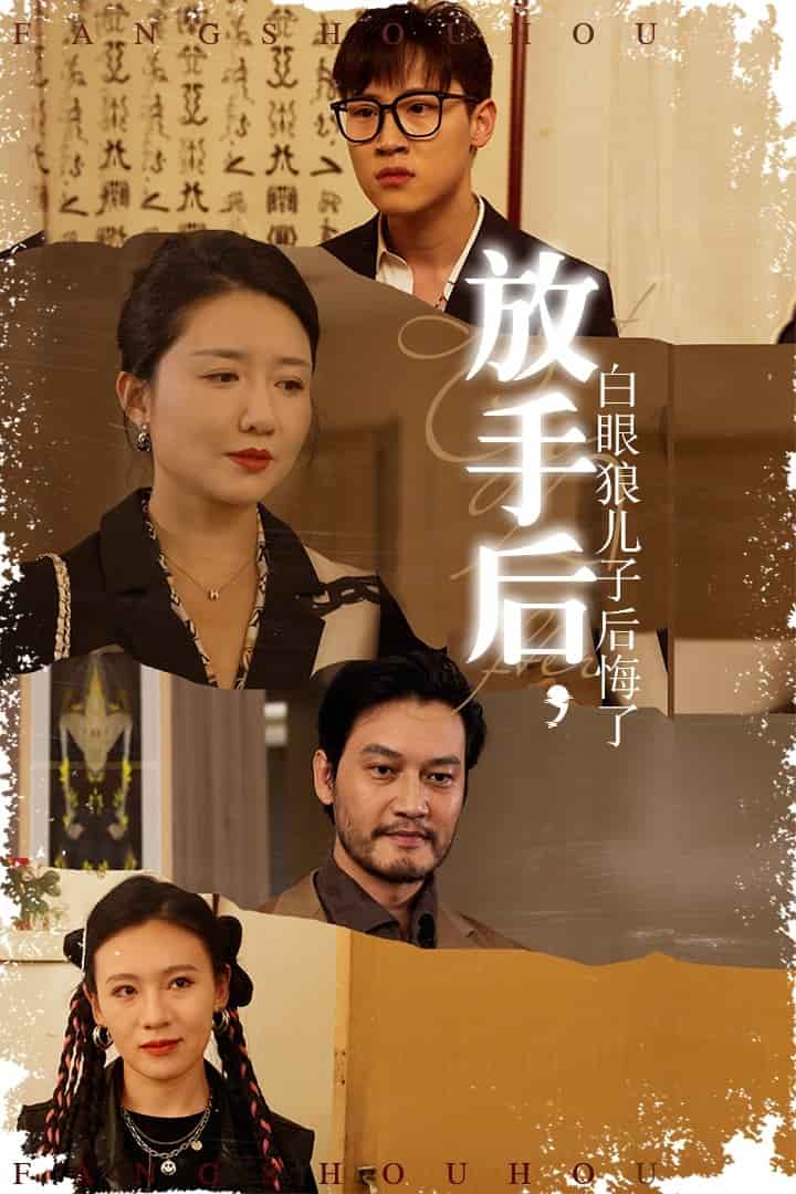 放手后白眼狼儿子后悔了海报