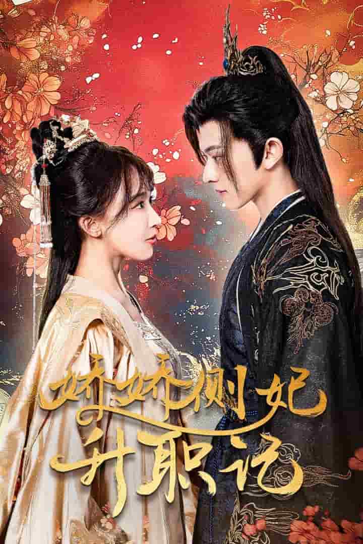 娇娇侧妃升职记海报