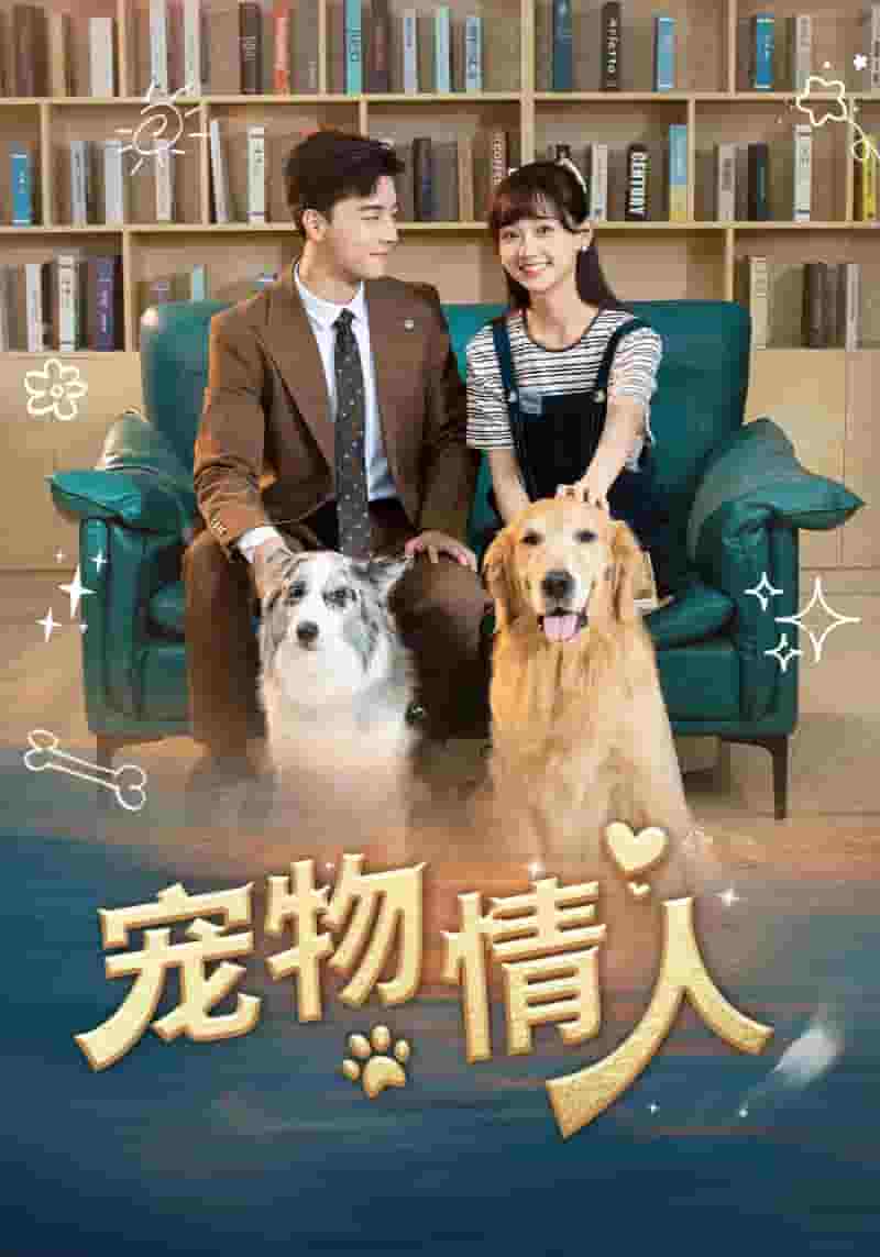 宠物情人短剧版海报
