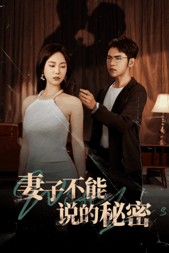 妻子不能说的秘密海报