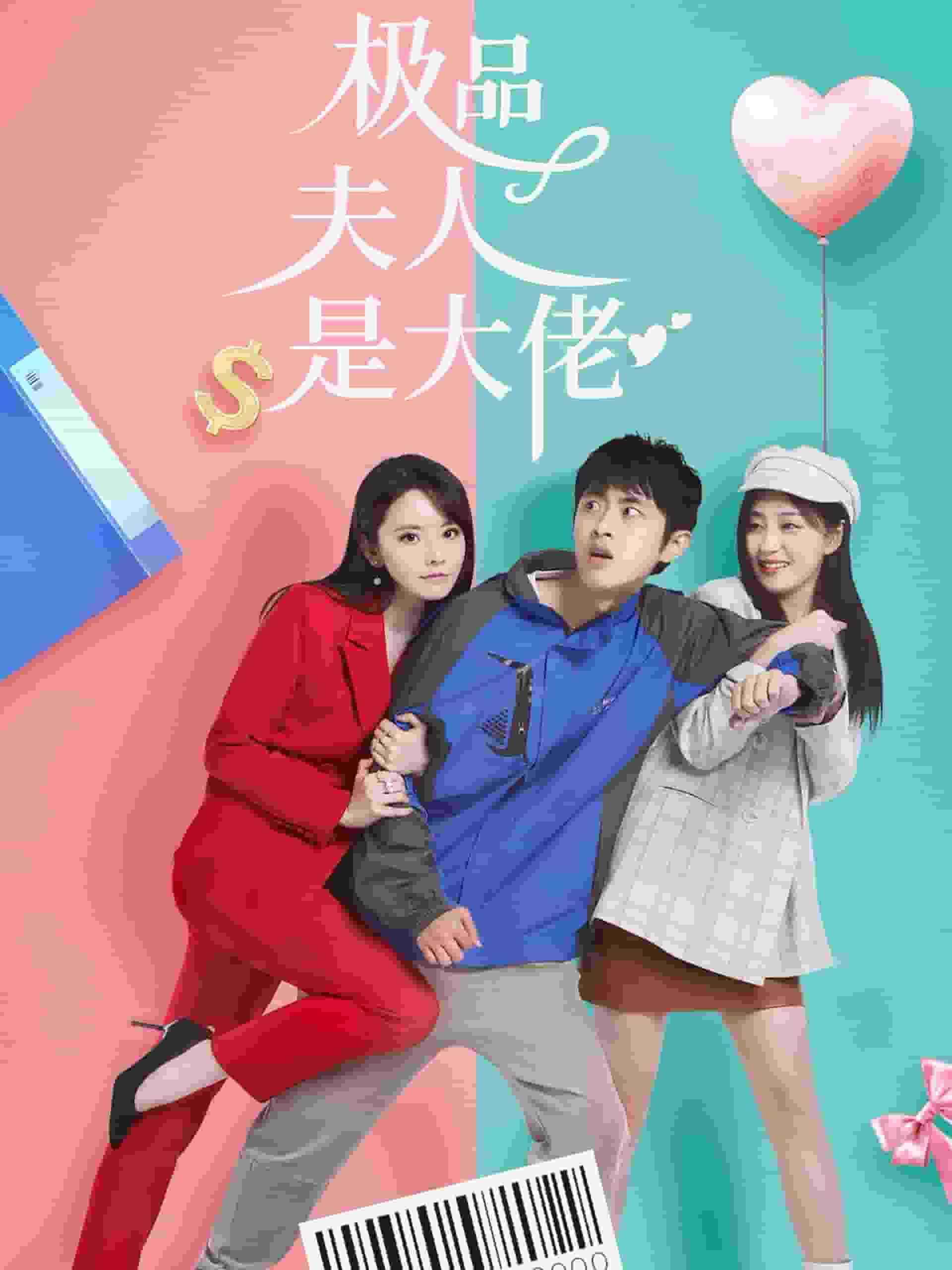 极品夫人是大佬海报