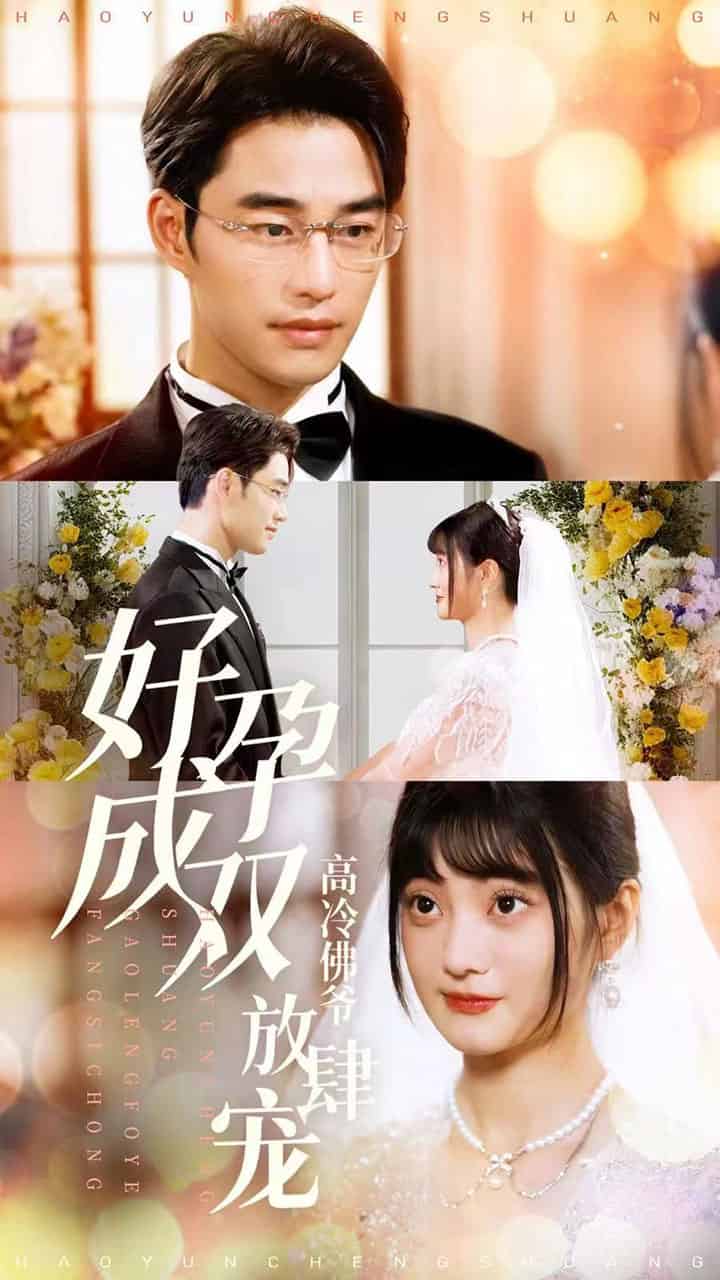 好孕成双高冷佛爷放肆宠海报