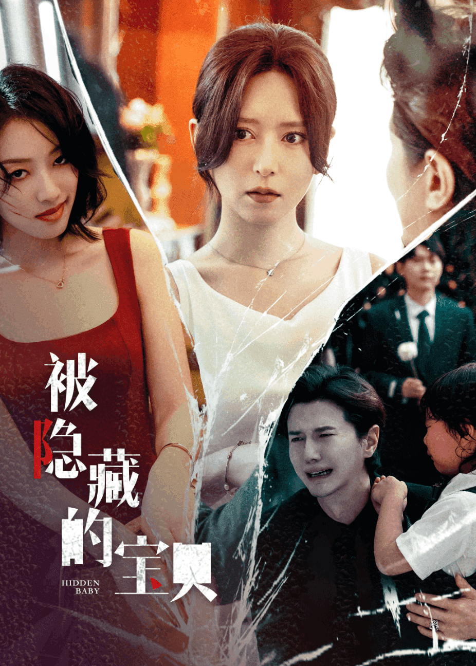 被隐藏的宝贝海报