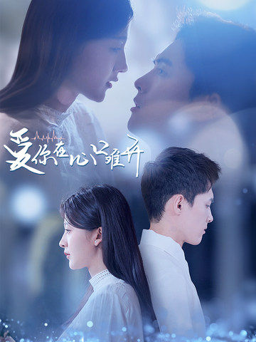爱你在心口难开1海报