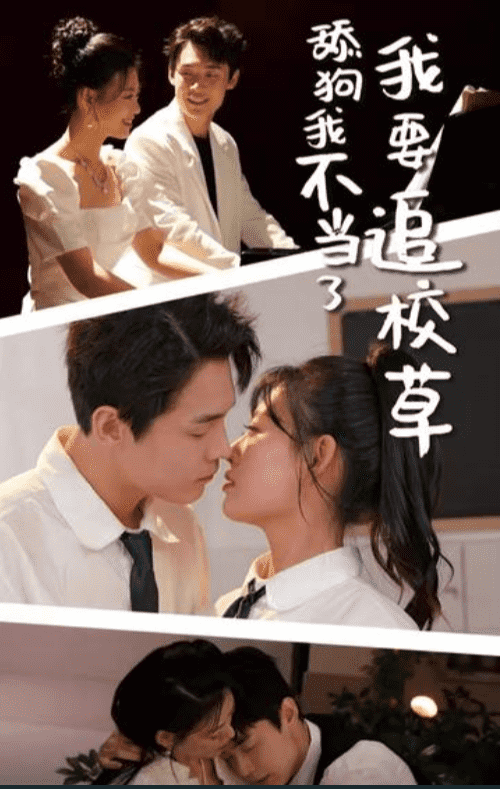 舔狗我不当了我要追校草海报