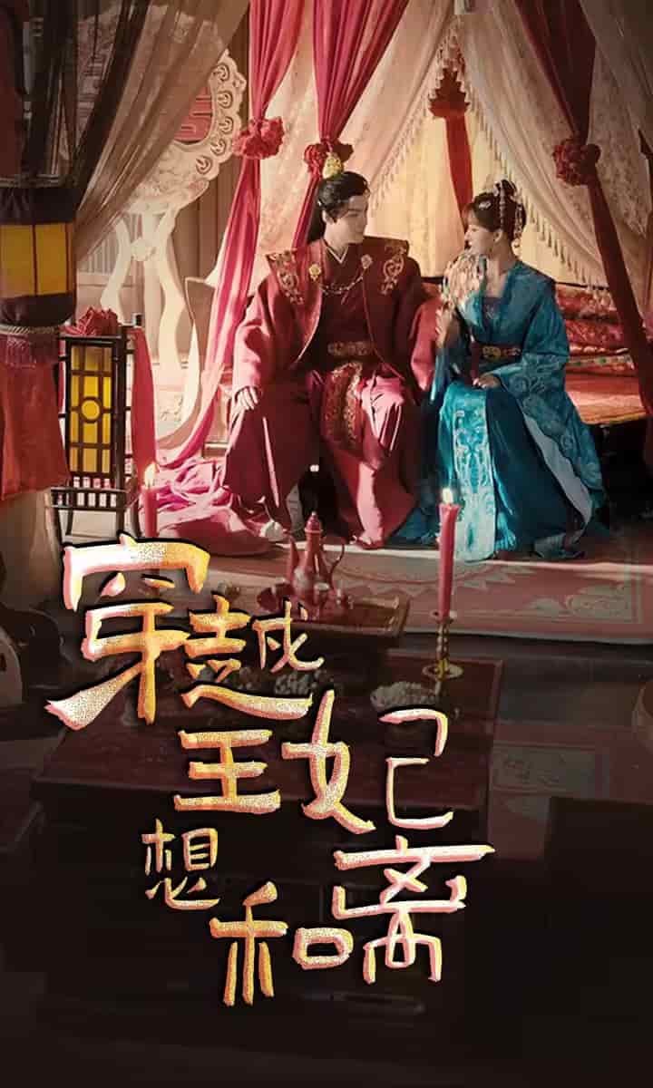 穿越王妃想和离海报