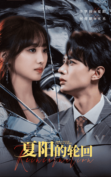 夏阳的轮回海报