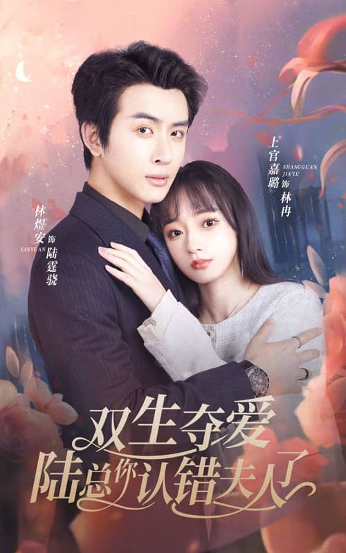 双生夺爱陆总你认错夫人了海报