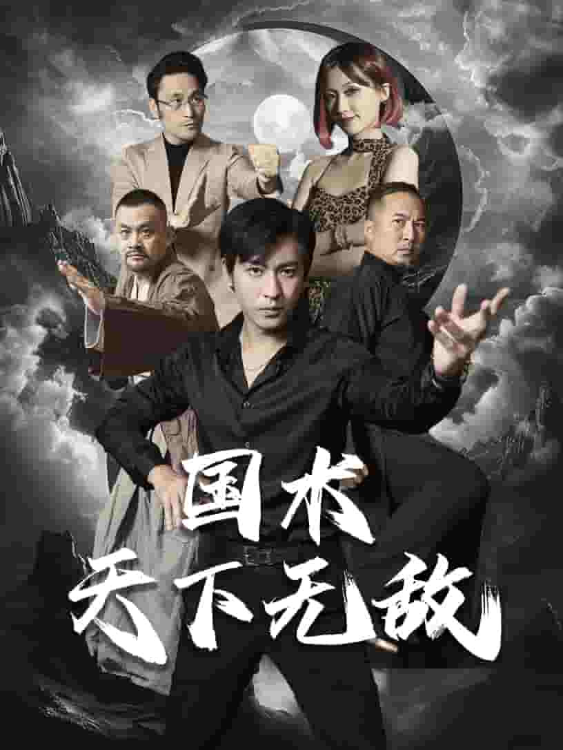 国术天下无敌海报