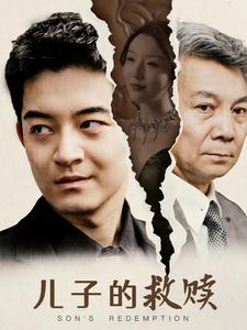 儿子的救赎海报