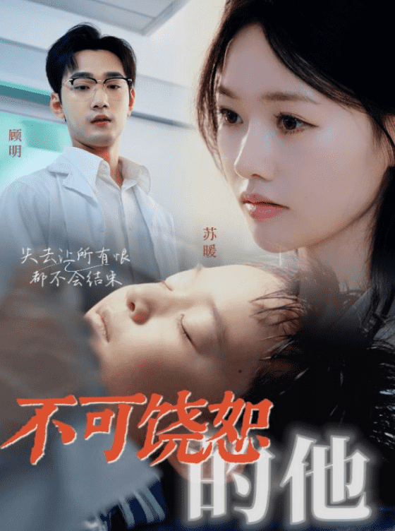 不可饶恕的他海报