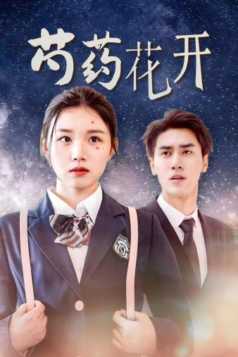 火光中的芍药花海报