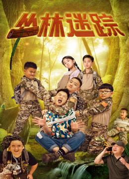 丛林迷踪海报
