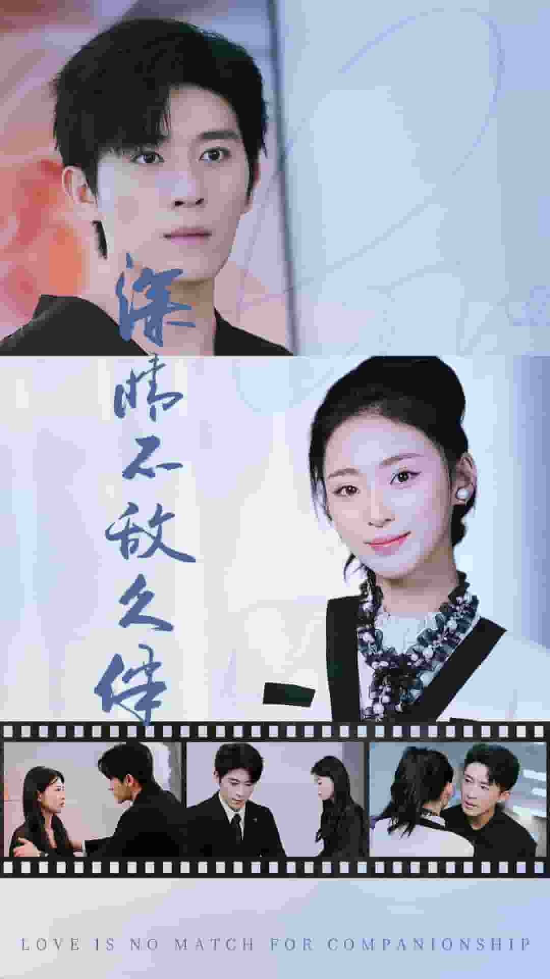 深情不敌久伴海报