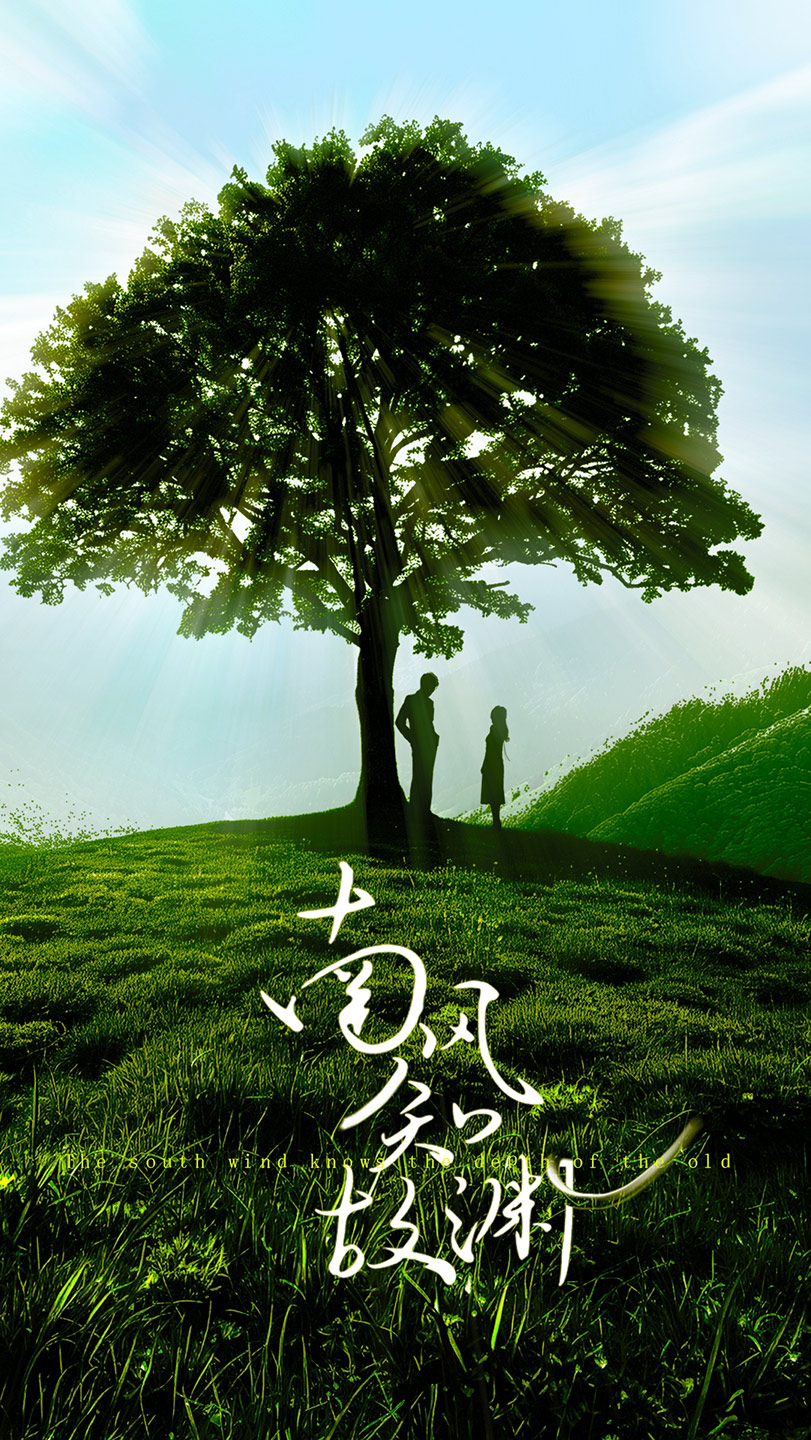 南风知故渊海报