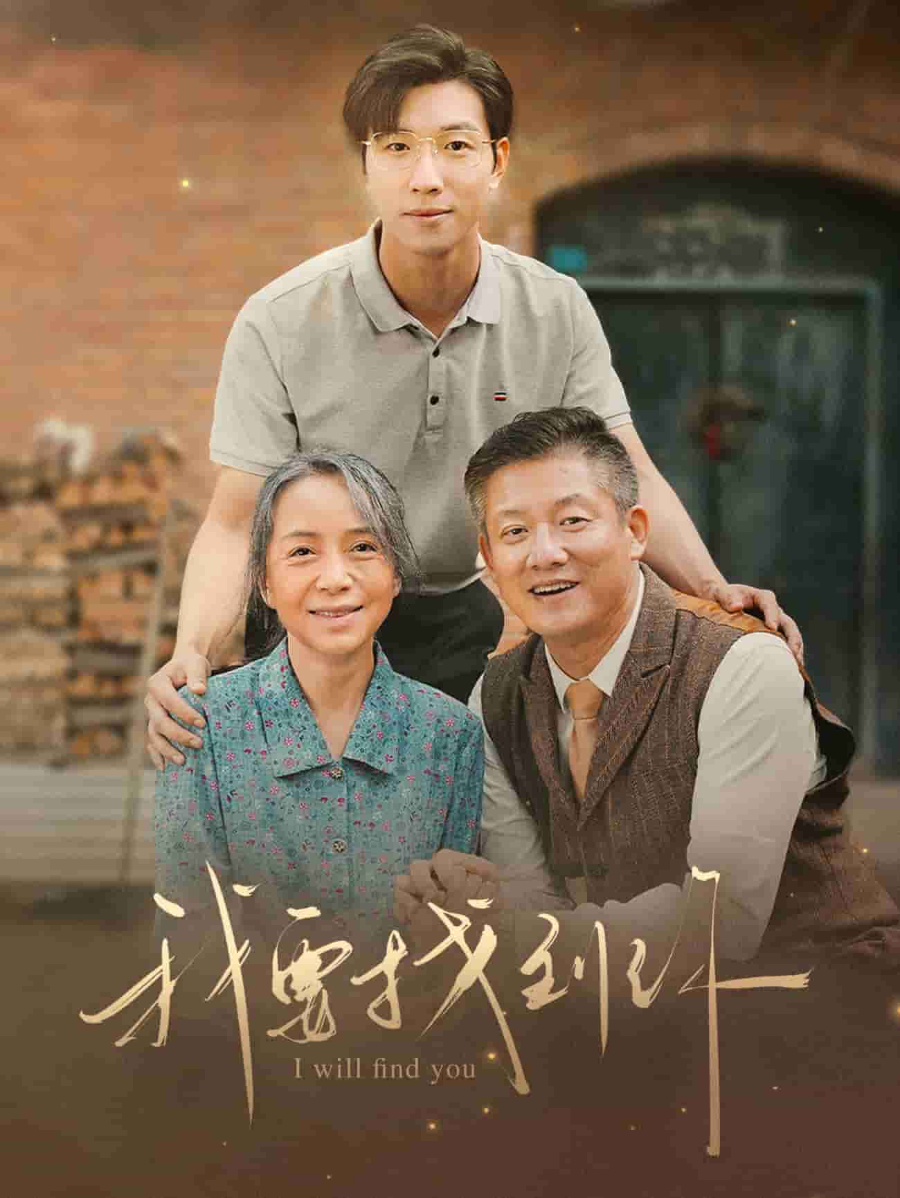 我要找到你海报