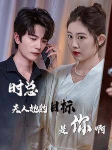 时总夫人她的目标是你啊海报