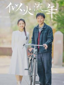 似火流年短剧海报