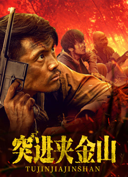 突进夹金山海报