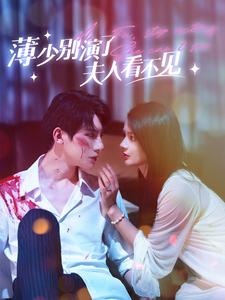 薄少别演了夫人看不见海报