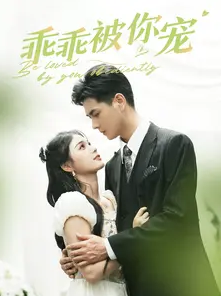 乖乖被你宠海报
